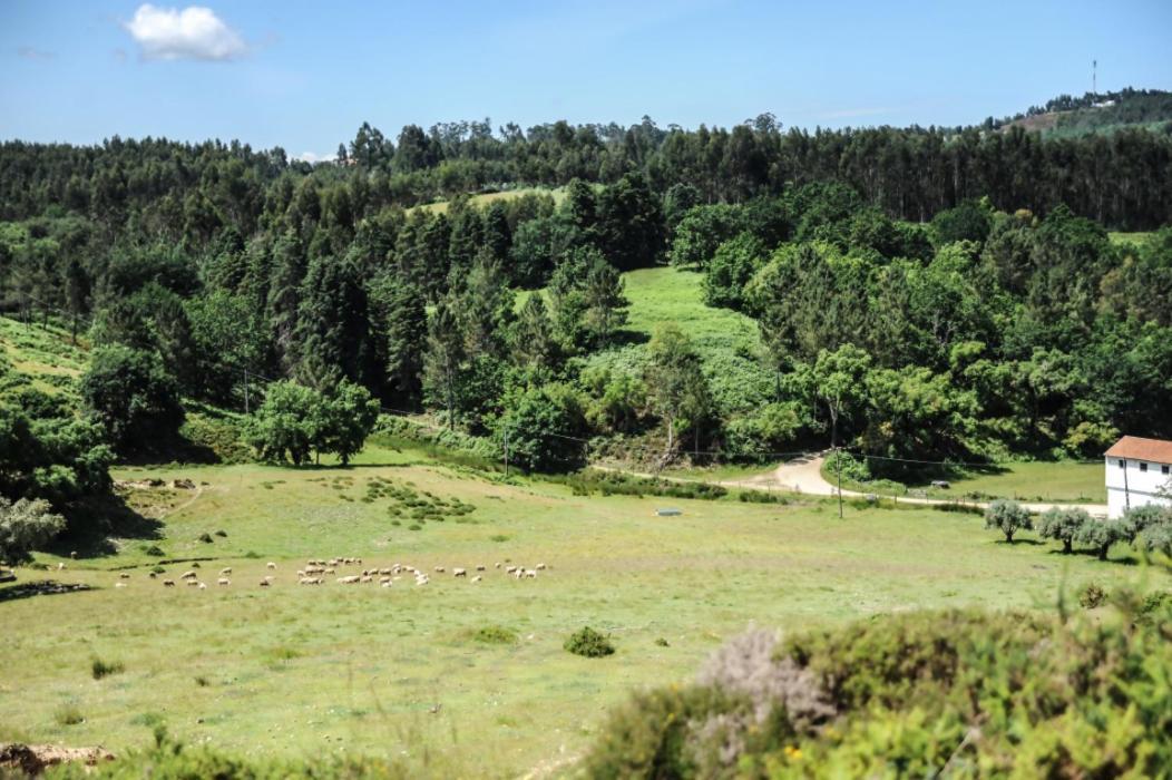 ארגניל Vumba Agroturismo מראה חיצוני תמונה
