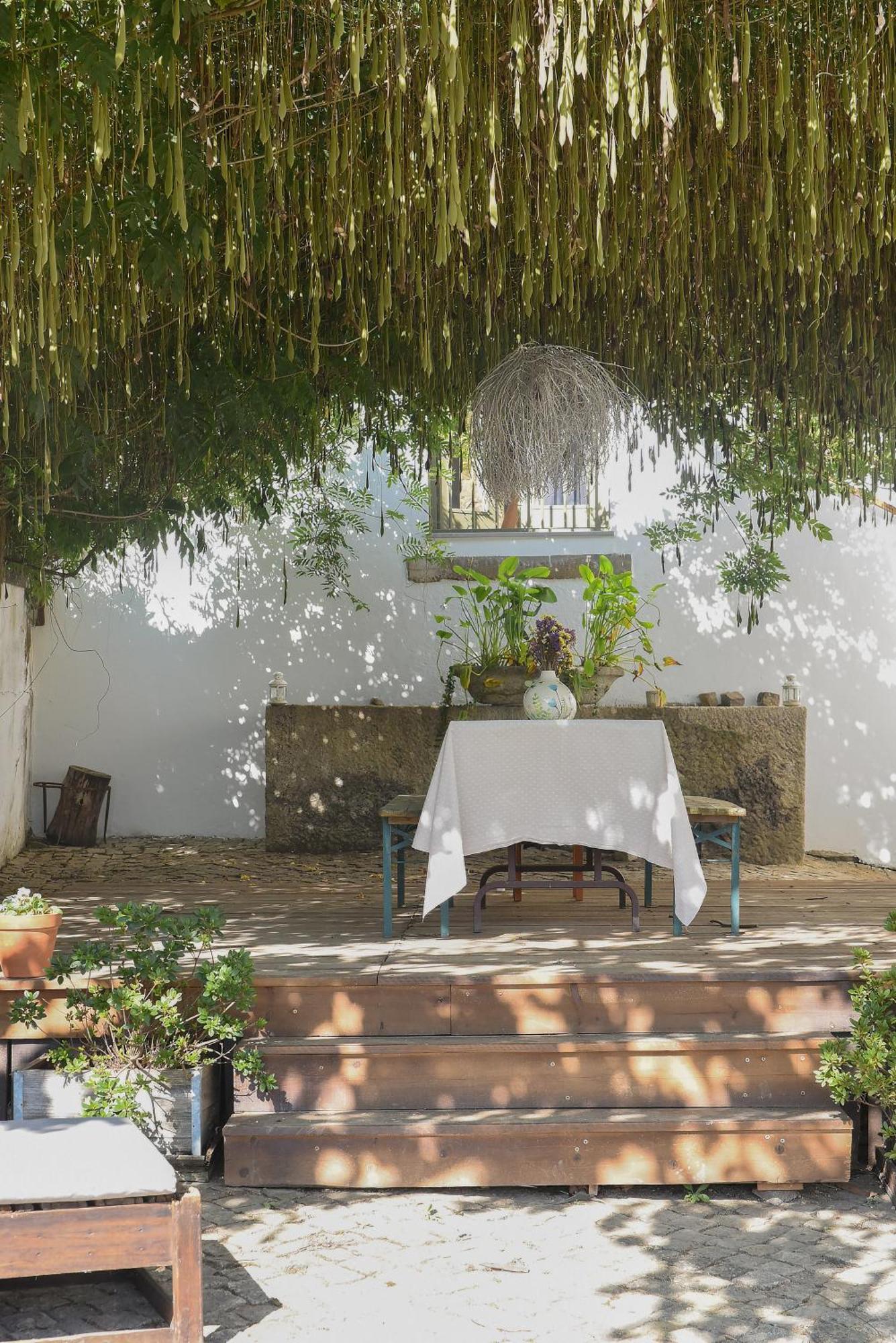 ארגניל Vumba Agroturismo מראה חיצוני תמונה