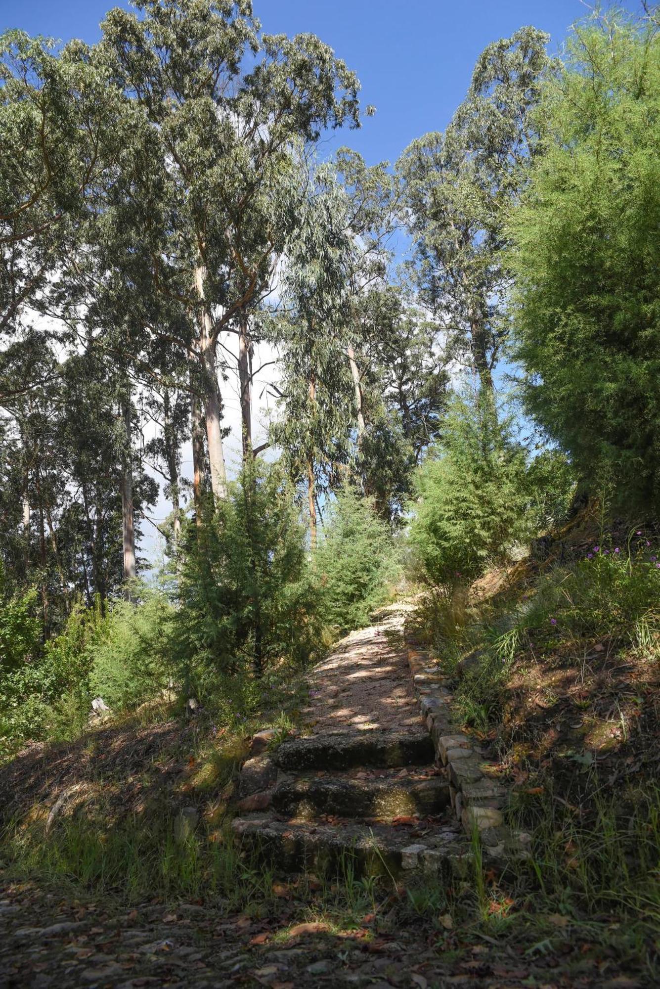 ארגניל Vumba Agroturismo מראה חיצוני תמונה
