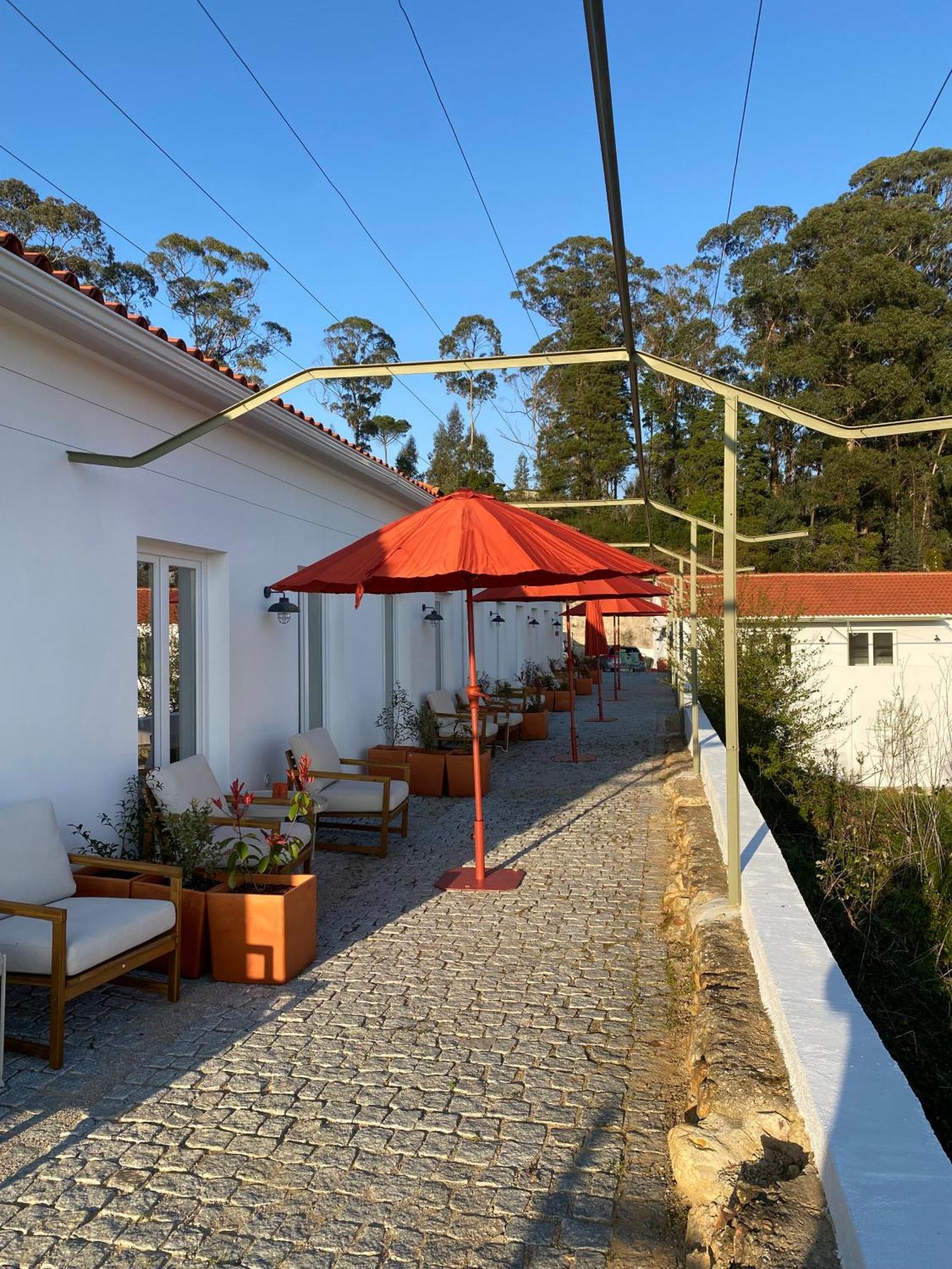ארגניל Vumba Agroturismo מראה חיצוני תמונה
